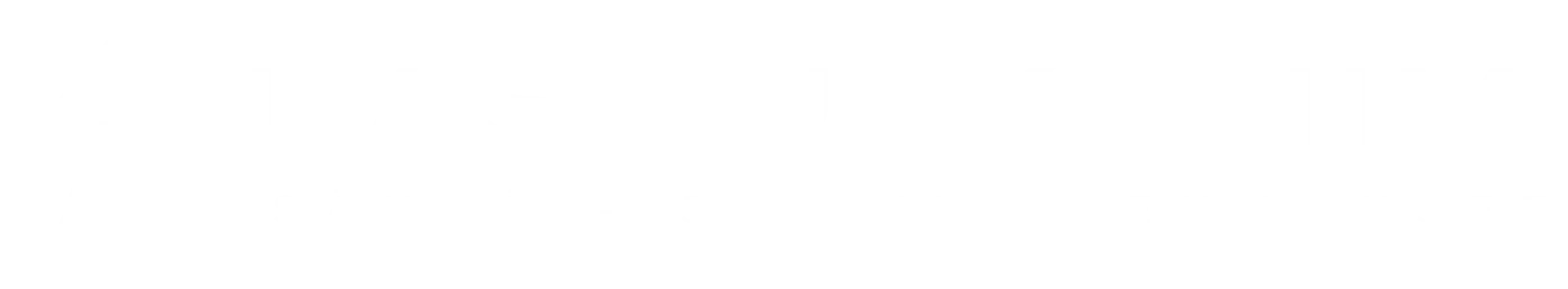 LVIS turkutiimi